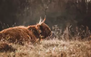 Jak Odstranit Ochranu Proti Zápisu